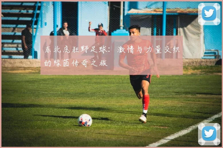 东北虎狂野足球：激情与力量交织的绿茵传奇之旅