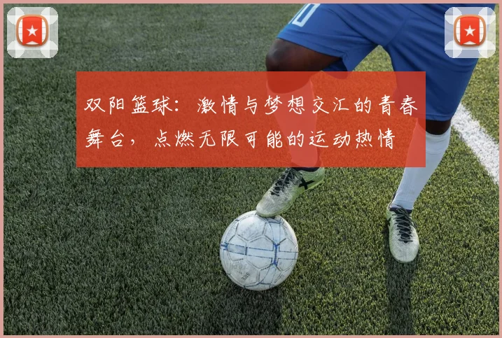 双阳篮球：激情与梦想交汇的青春舞台，点燃无限可能的运动热情