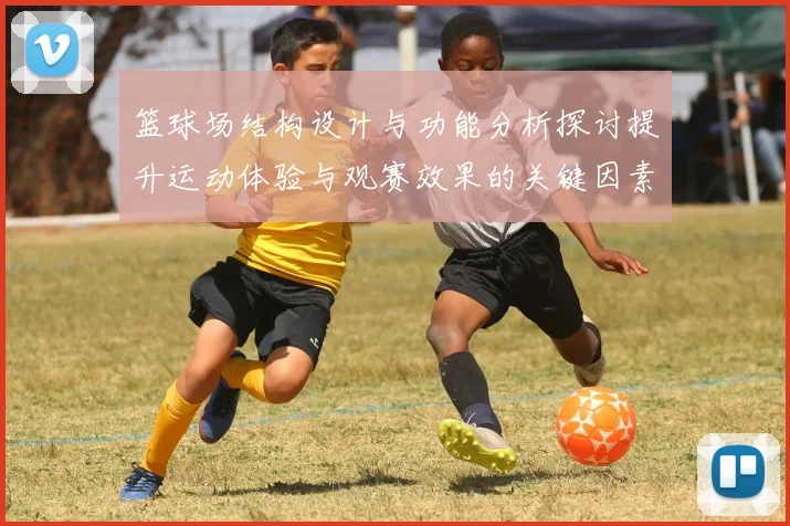 篮球场结构设计与功能分析探讨提升运动体验与观赛效果的关键因素