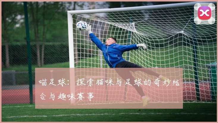 喵足球：探索猫咪与足球的奇妙结合与趣味赛事