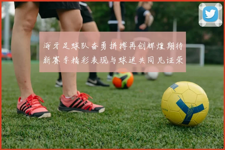 海牙足球队奋勇拼搏再创辉煌期待新赛季精彩表现与球迷共同见证荣耀时刻